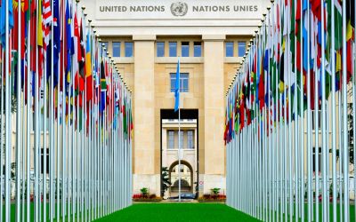 
Can the United Nations Be Reformed?